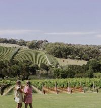 A scenic view of a winery.
