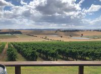 View of a vineyard on a Yarra Valley tour.